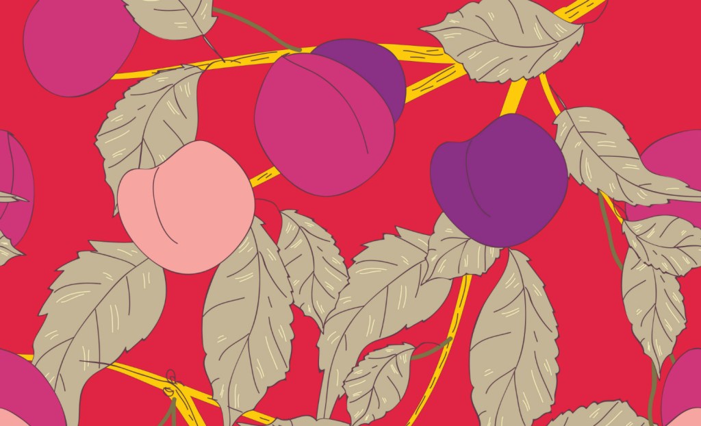 Plum tree illustration