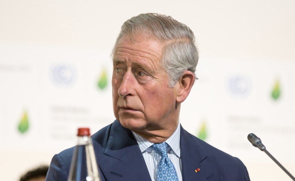 Prince Charles at climate talks in 2015.