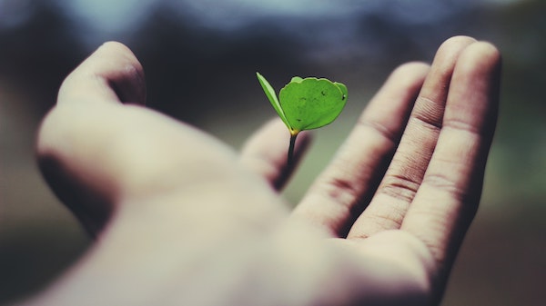 The necessary ESG change! Image courtesy of Unsplash.com.