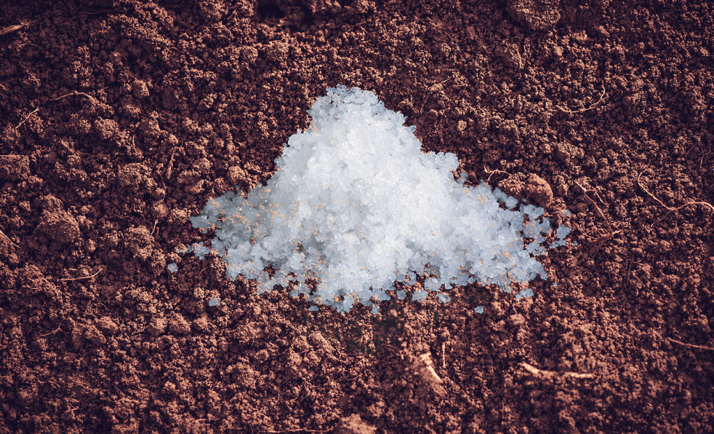 salt on soil