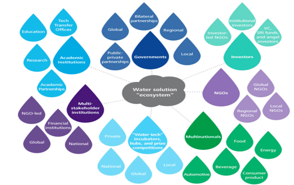 The ecosystem surrounding water.