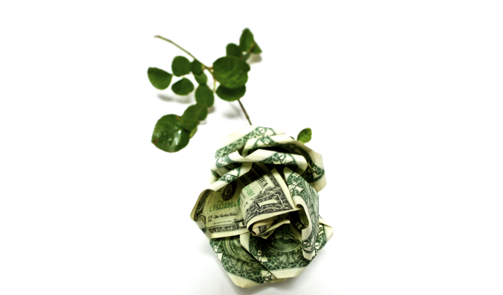 money capital sustainability finance green bonds startups