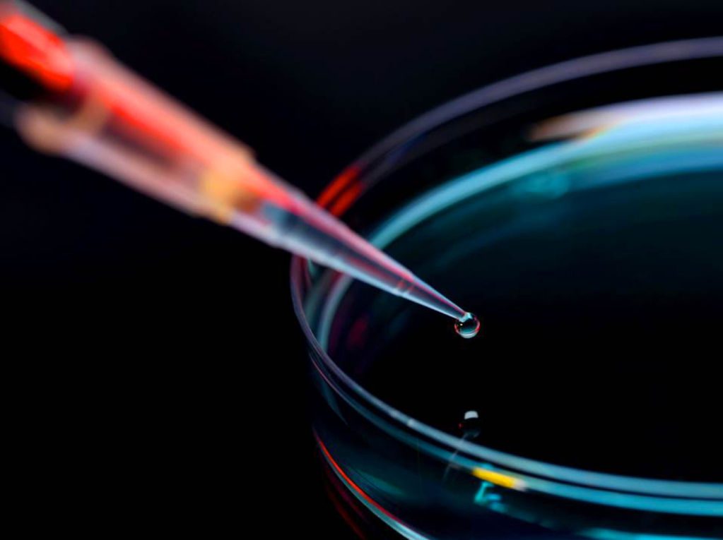 Covestro Bayer chemicals and sustainable material science