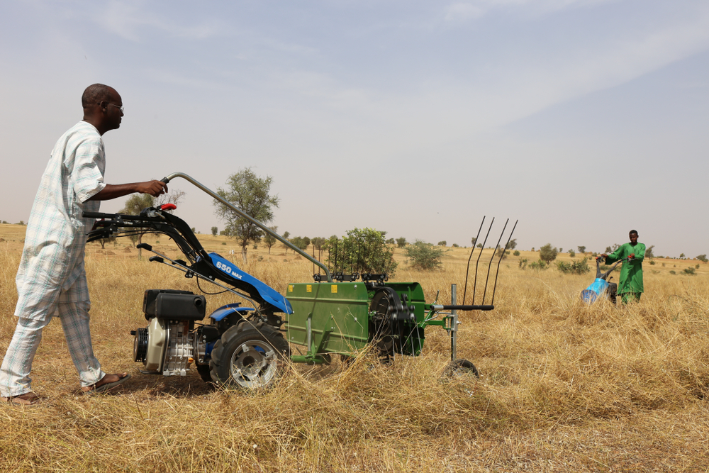 Farmers cutting grass in a rural field near Louga in North of Senegal. The machine is cutting the dry vegetation which will be used to feed the cows.