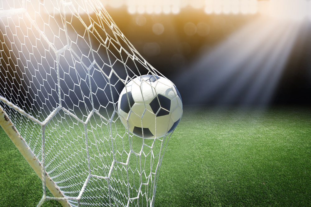 Soccer net