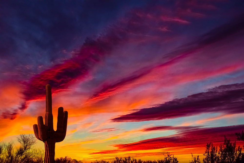 phoenix arizona circular economy