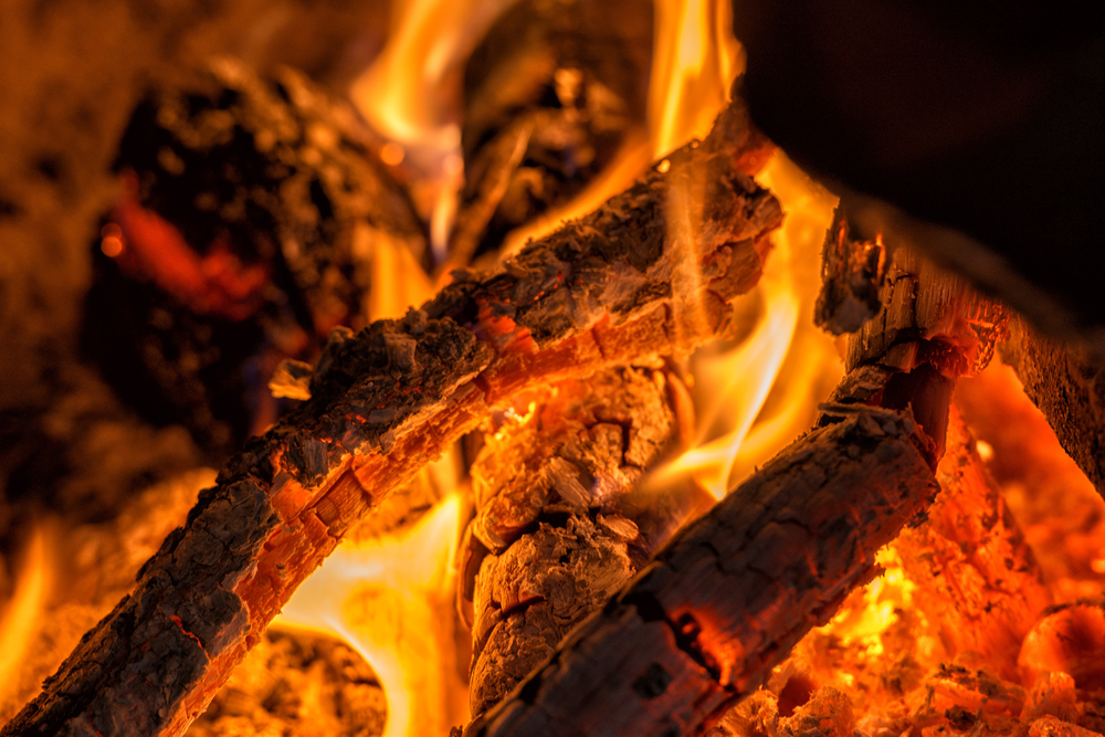 burning wood for renewable energy