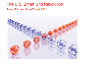 The US Smart Grid Revolution: Smart Grid Workforce Trends 2011