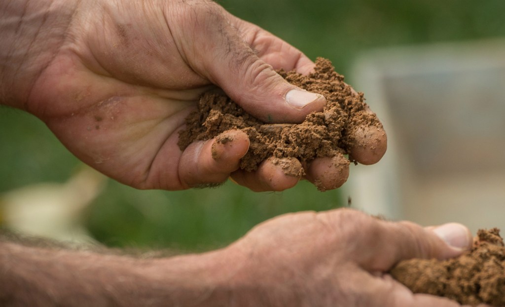 Soil in hands