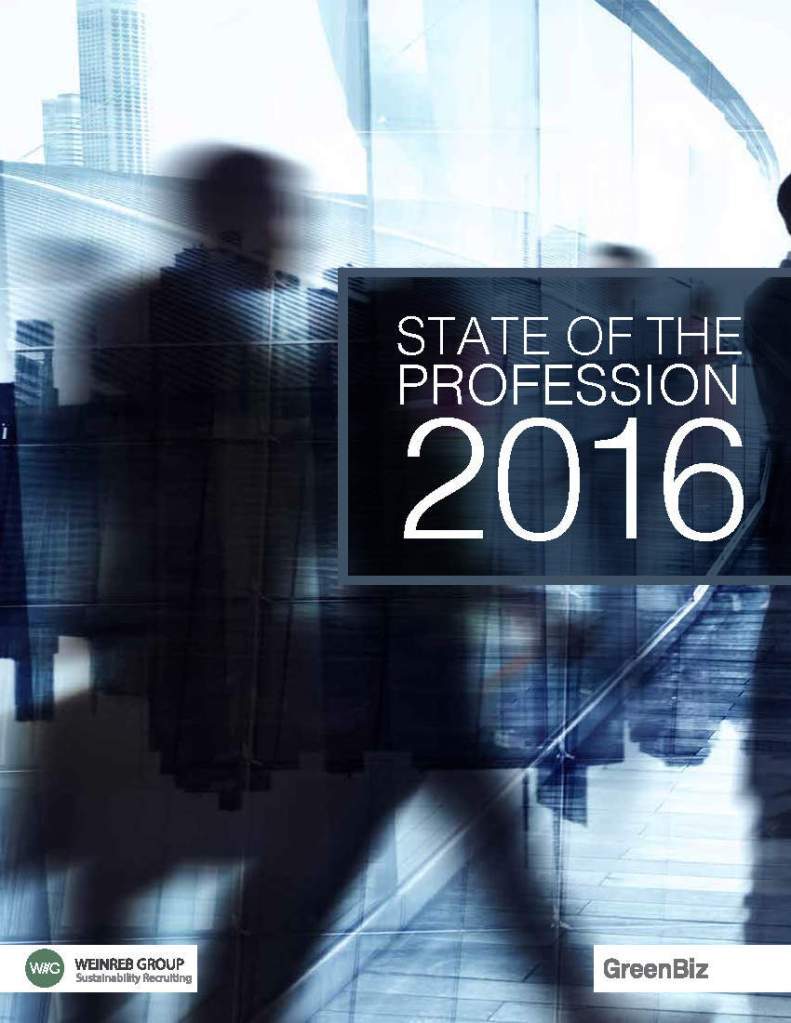 State of the Profession 2016 Report cover