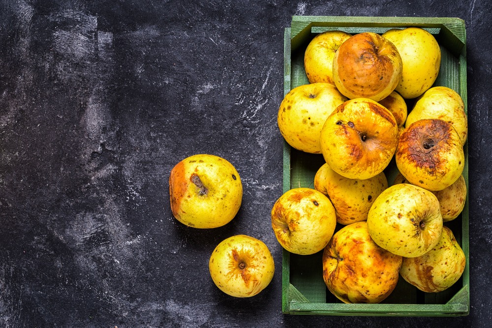 Box of stale green apples on a dark black cement background