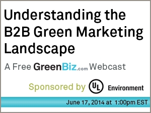 Understanding the B2B Green Marketing Landscape