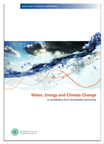 Water Energy and Climate: A Contribution from the Business Community