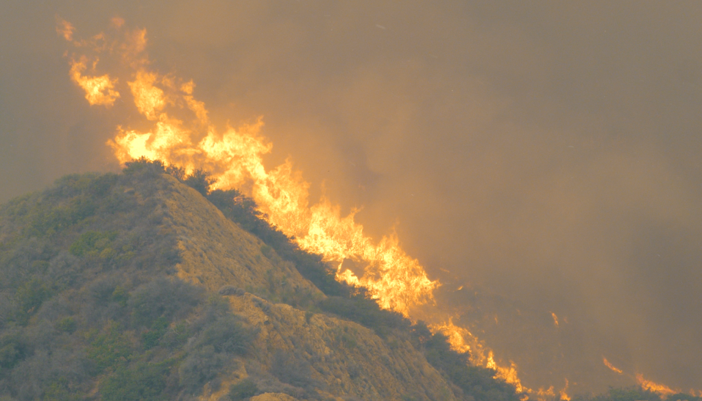 Wildfire in California hills