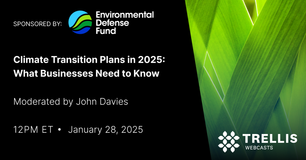 Climate Transition Plans in 2025: What Businesses Need to Know