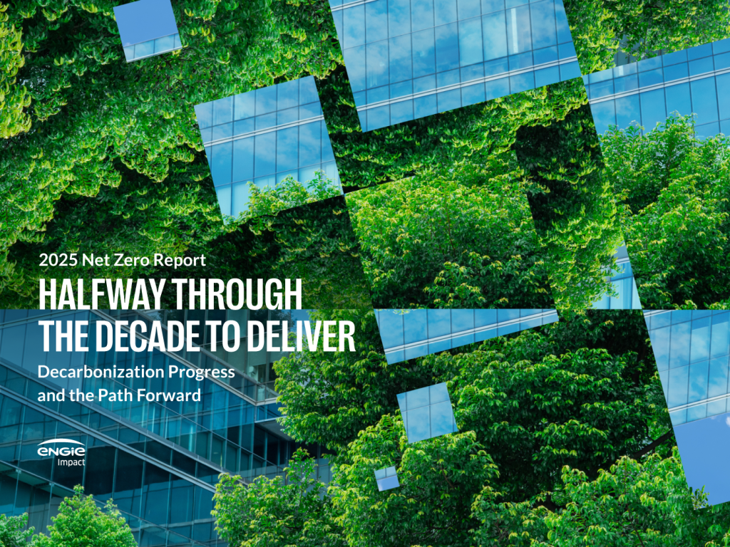 2025 Net Zero Report: Halfway Through the Decade to Deliver