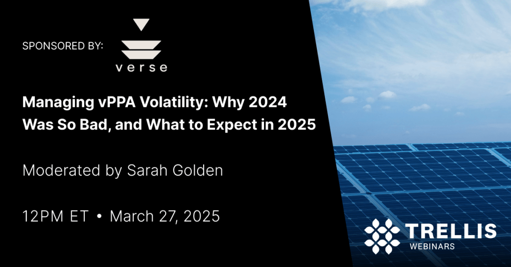 Managing vPPA Volatility: Why 2024 Was So Bad, and What to Expect in 2025