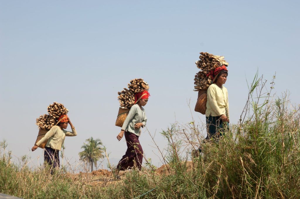 Women carrying firewood to the local friday market in Myanmar.