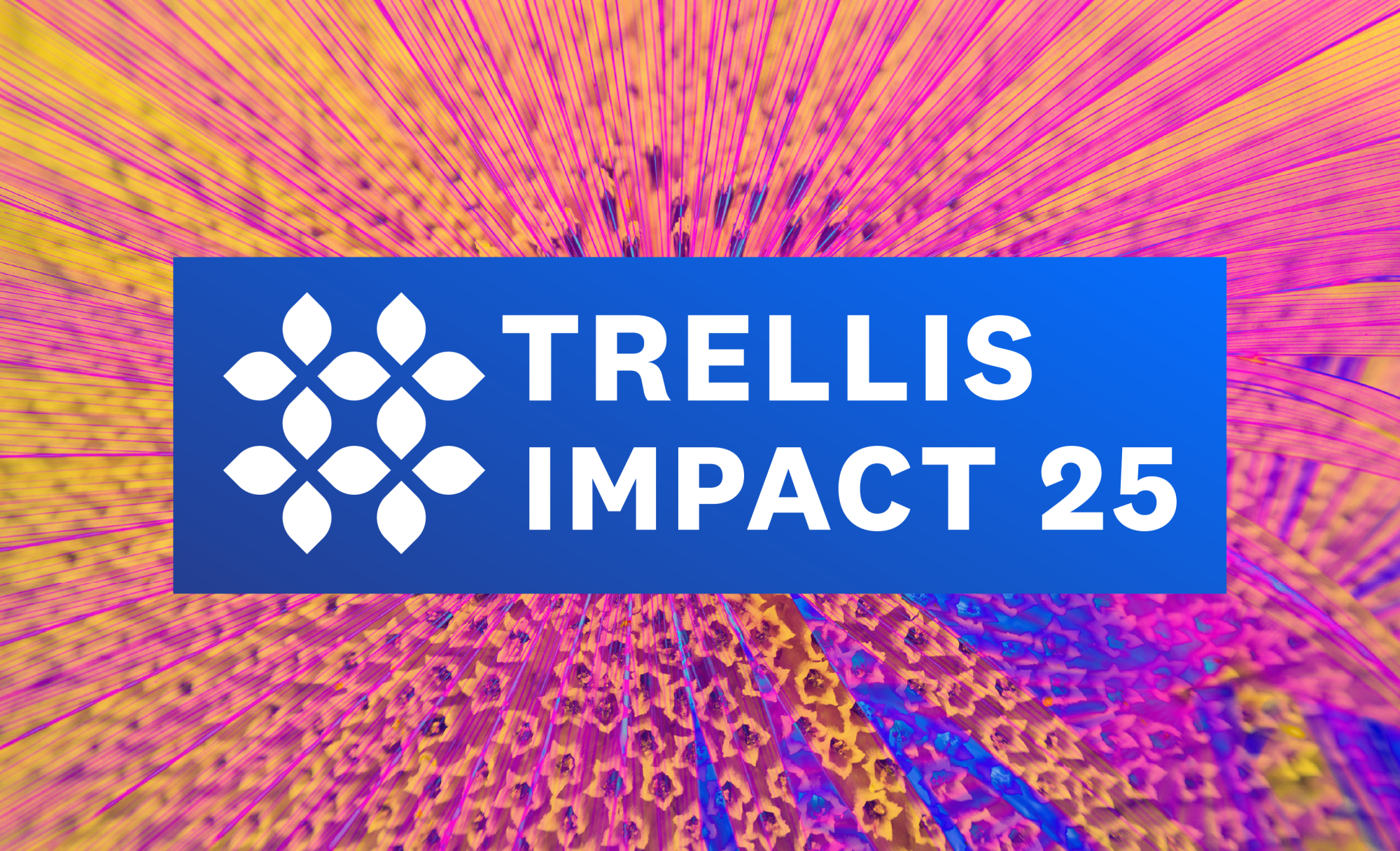 Introducing Trellis Impact 25 to usher in the next phase of sustainability