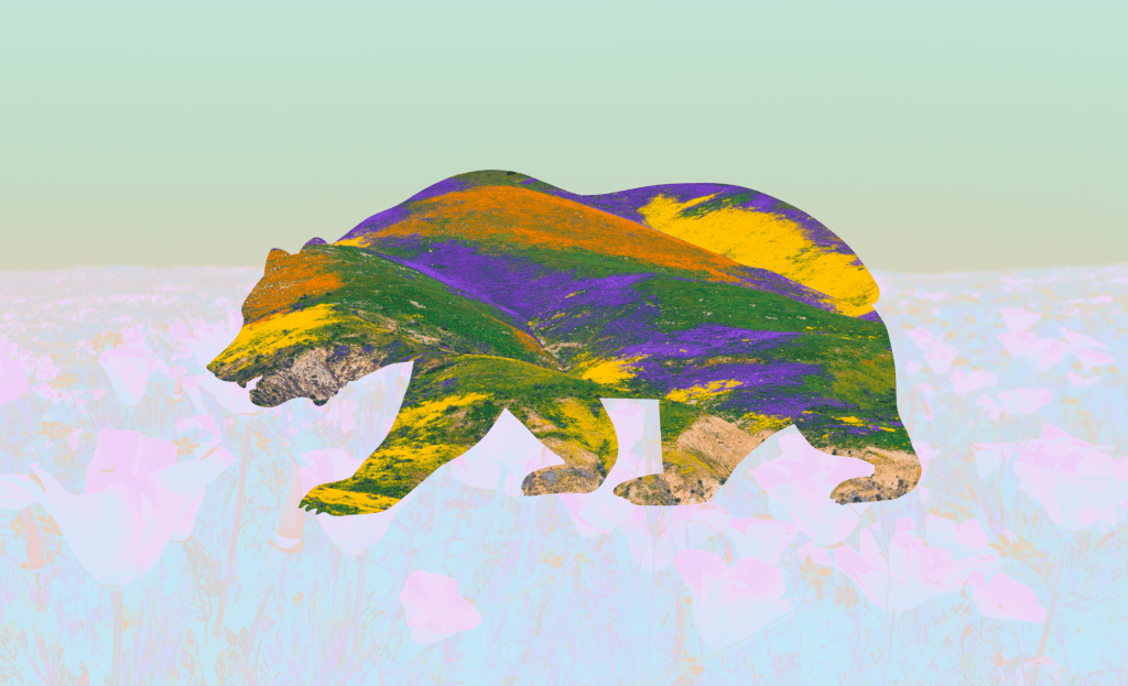 California disclosures graphic