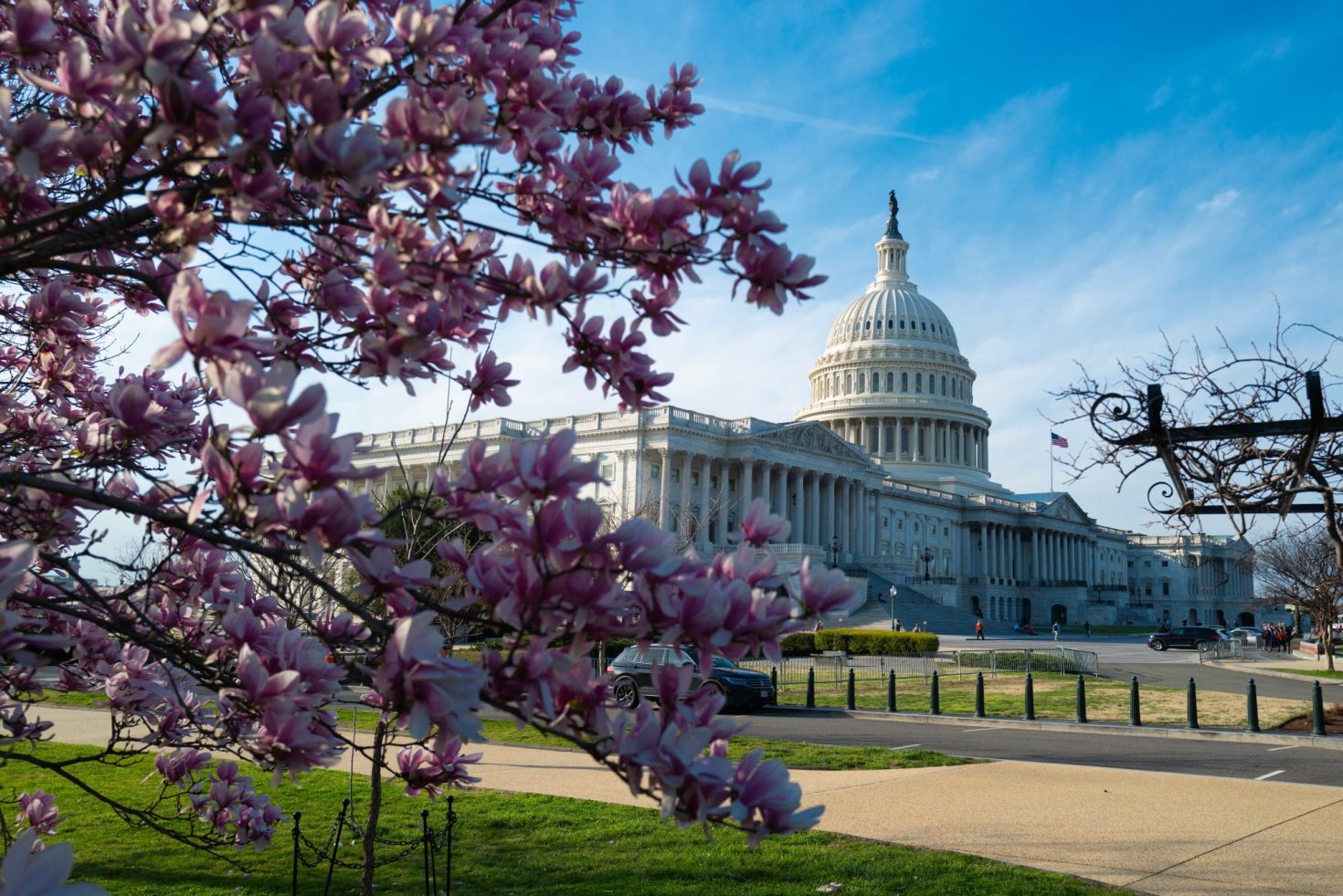 Corporate climate policy still works: 4 lessons from 100 meetings on Capitol Hill in March