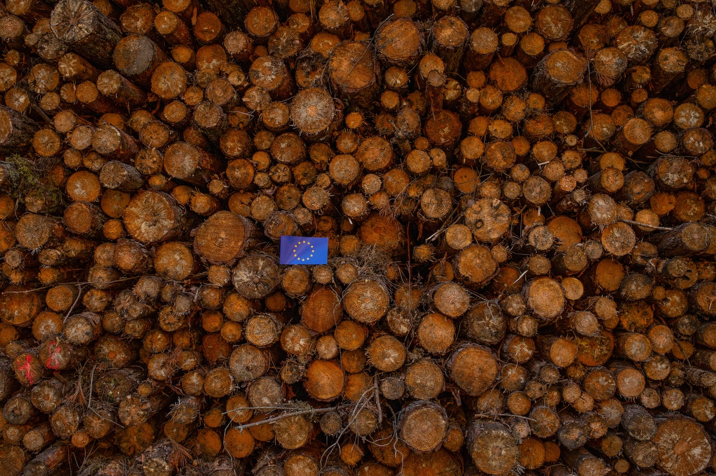 EU simplifies reporting requirements for Deforestation Regulation