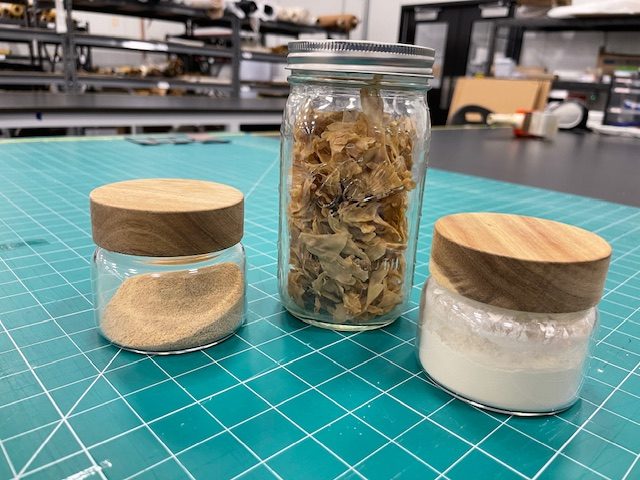 In the center, dried Fy resembles dried mushrooms or mangled potato chips. This is how the mycelium looks after cultivation and drying. It's flanked by ground up versions. Credit: Trellis Group / Elsa Wenzel