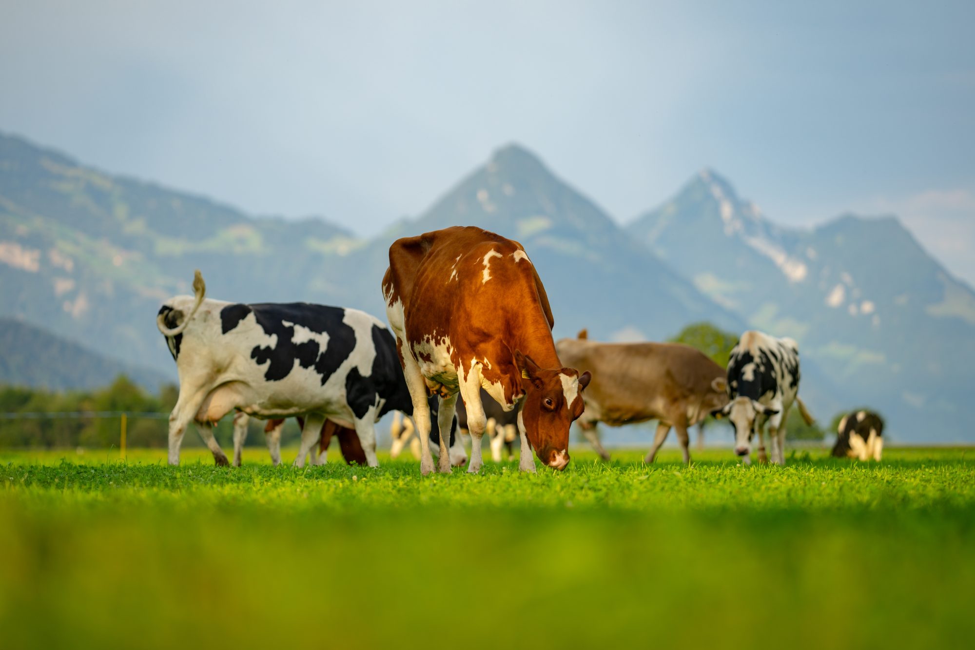 Benchmarking effort reveals food industry’s leaders and laggards