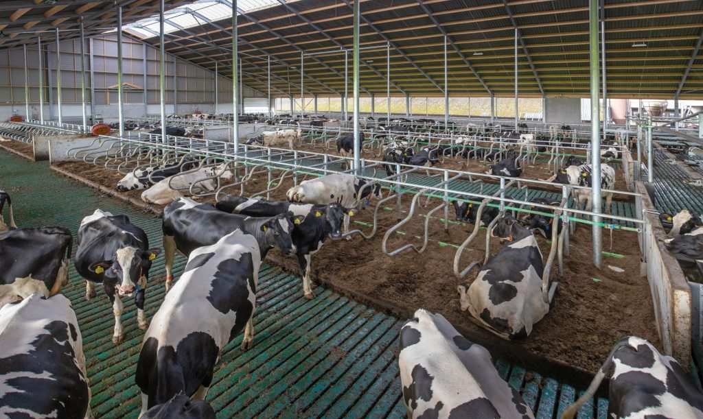 Companies behind dairy industry’s first methane targets show early success