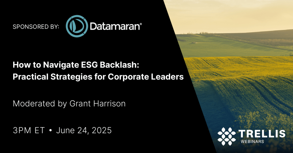 How to Navigate ESG Backlash: Practical Strategies for Corporate Leaders