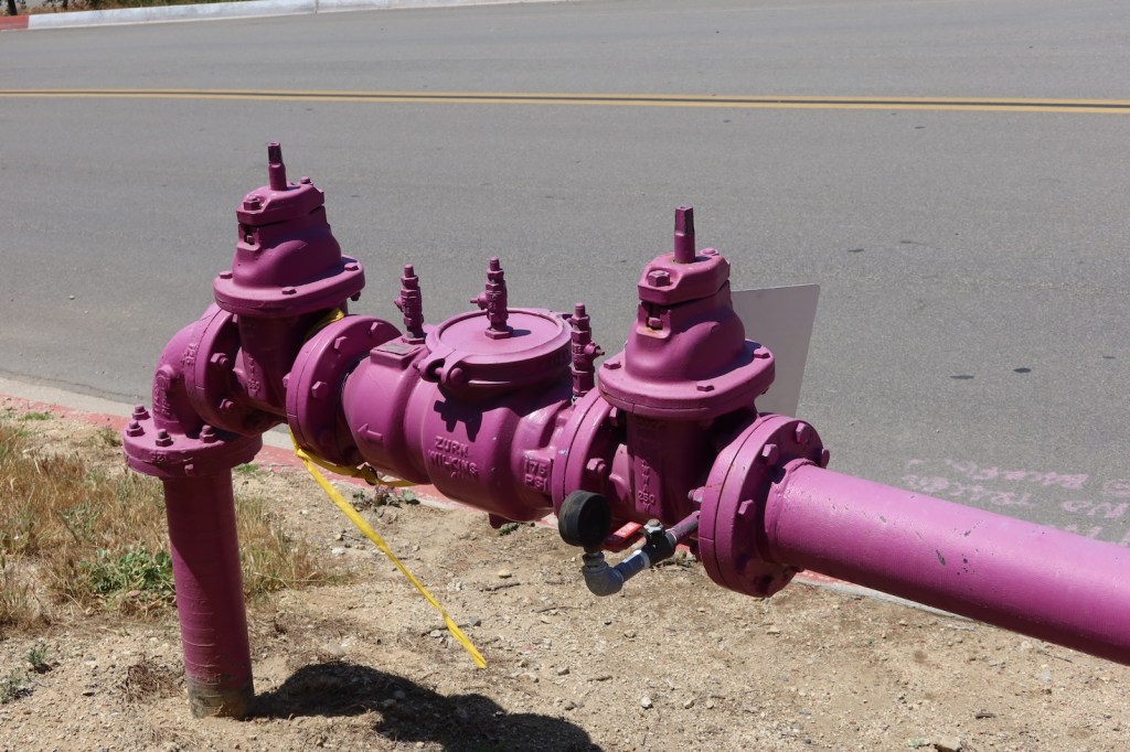 Purple pipes