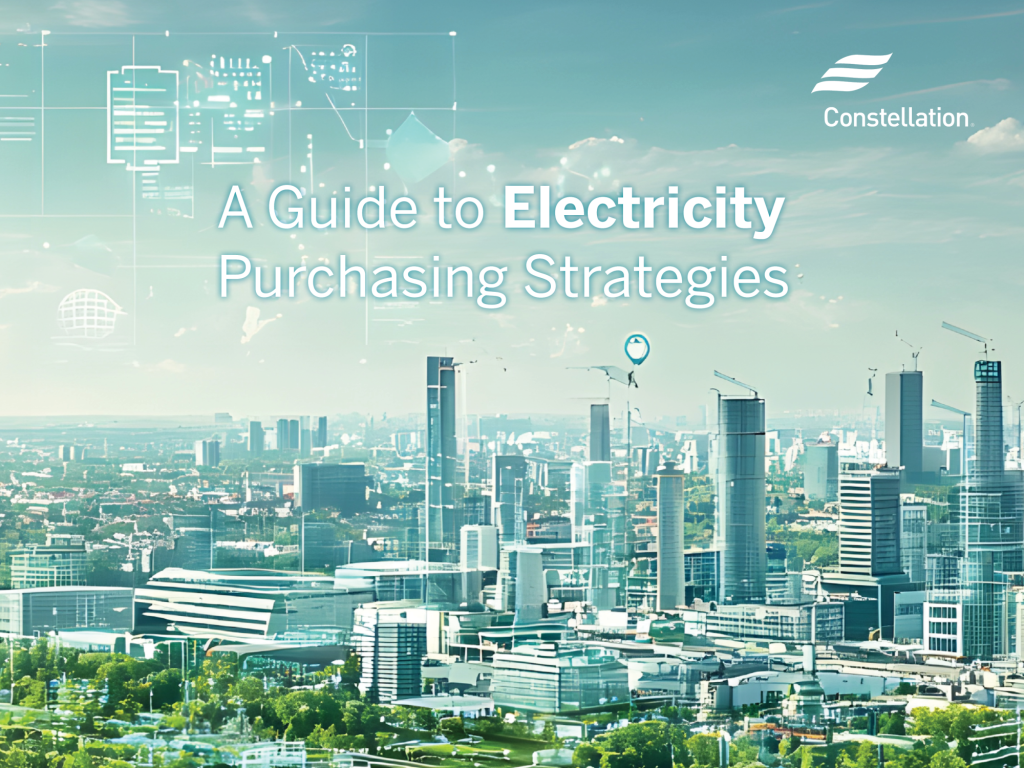A Guide to Electricity Purchasing Strategies