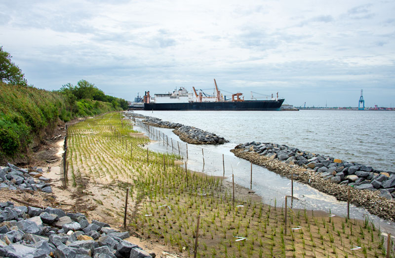 Ecological restoration project delivers four- to five-fold return for railroad
