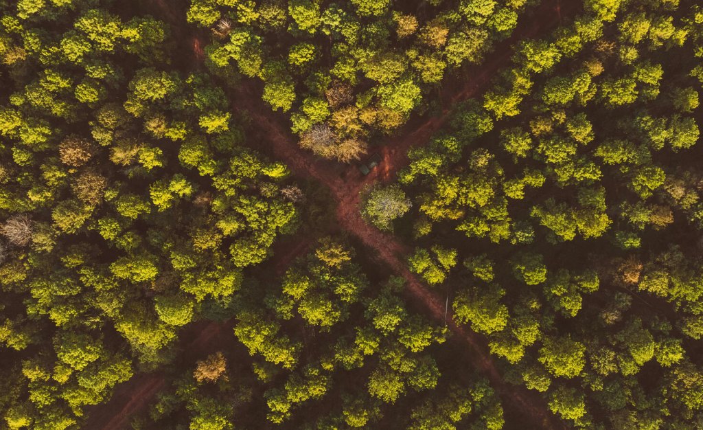 Photo of an intersection from above with trees around it.