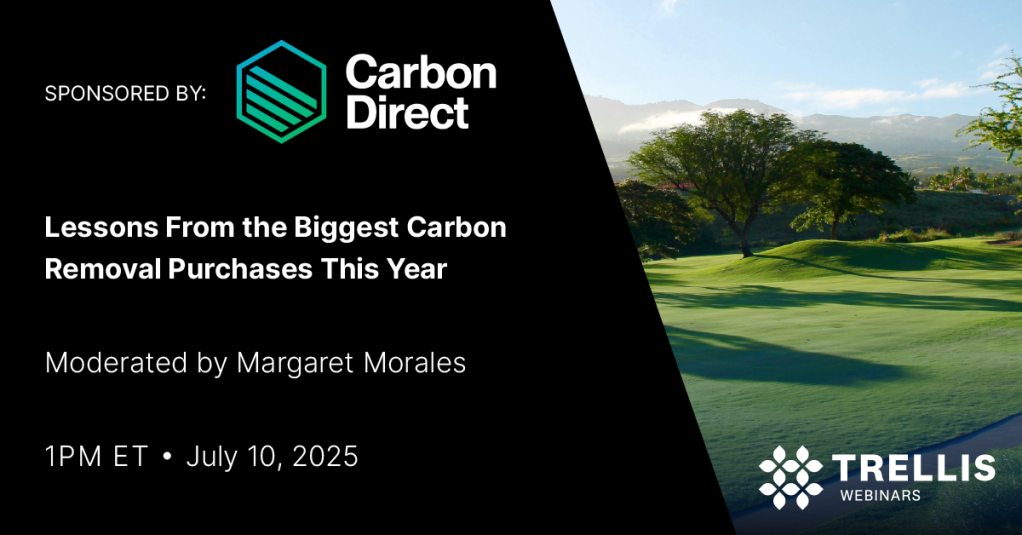 Lessons From the Biggest Carbon Removal Purchases This Year