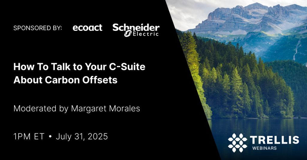 How To Talk to Your C-Suite About Carbon Offsets
