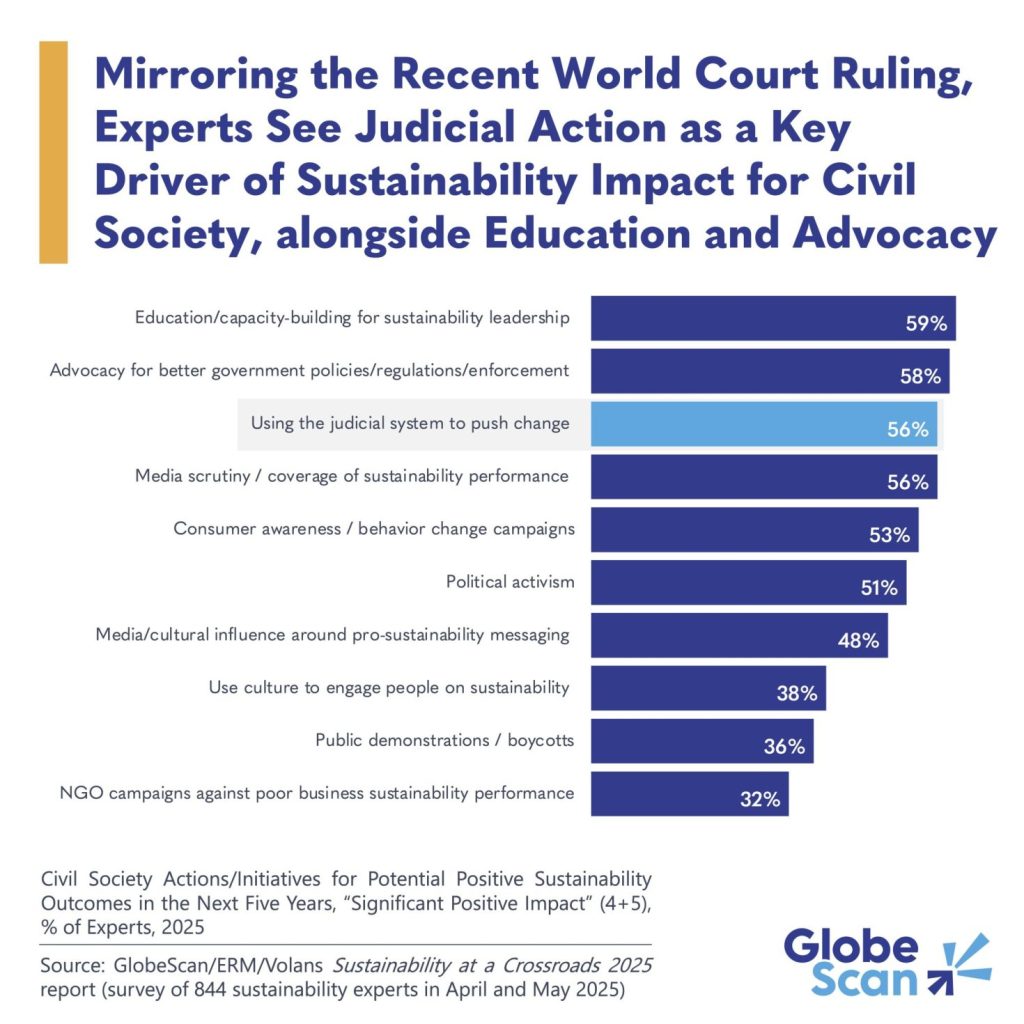 Chart of civil society actions for sustainability impact.