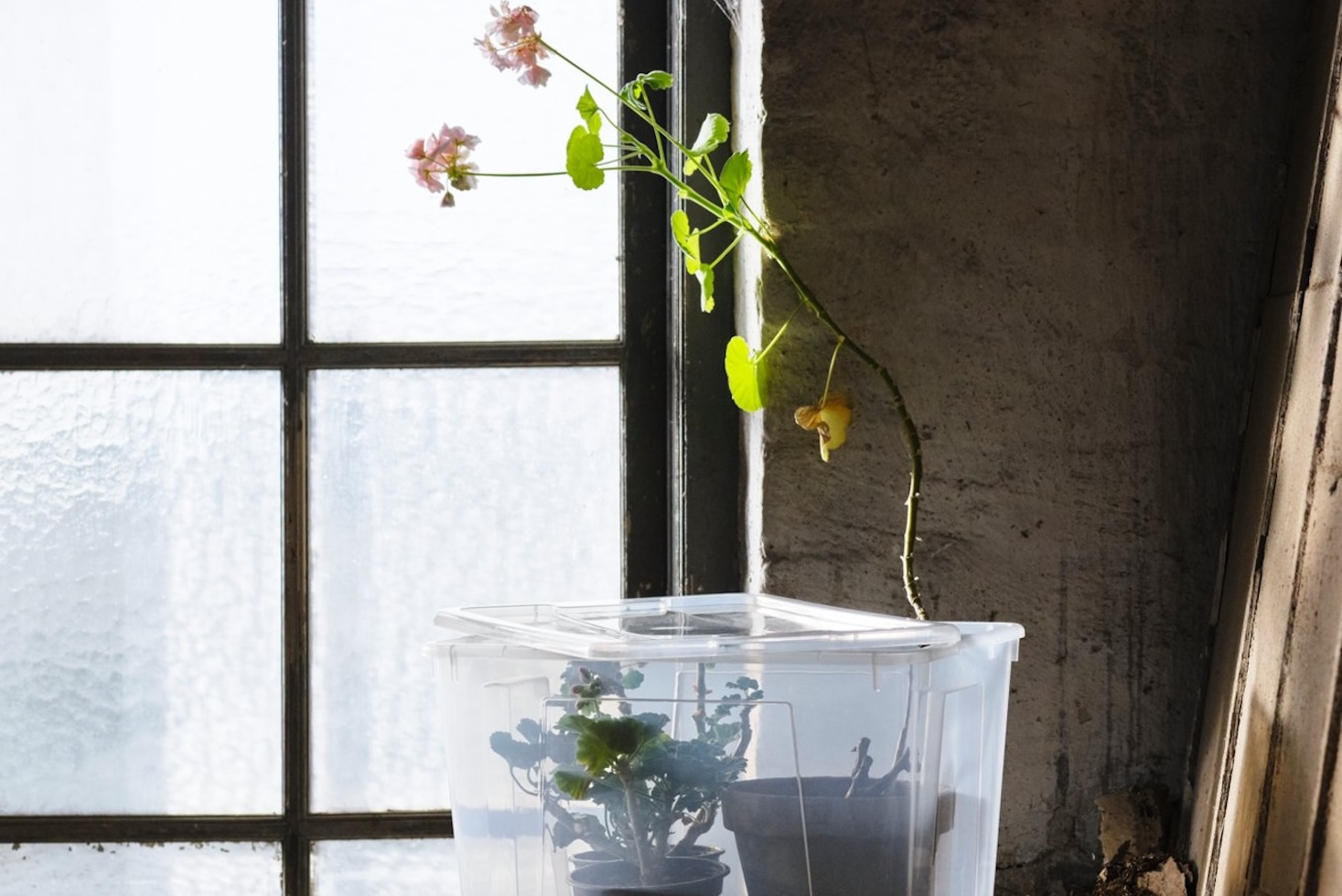IKEA’s biggest retailer funds Chinese food packaging recycler
