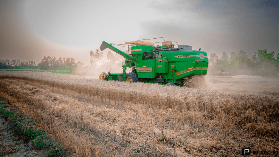 Wheat thresher, India