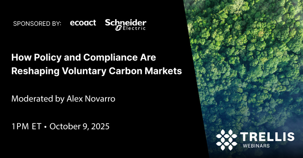 How Policy and Compliance Are Reshaping Voluntary Carbon Markets