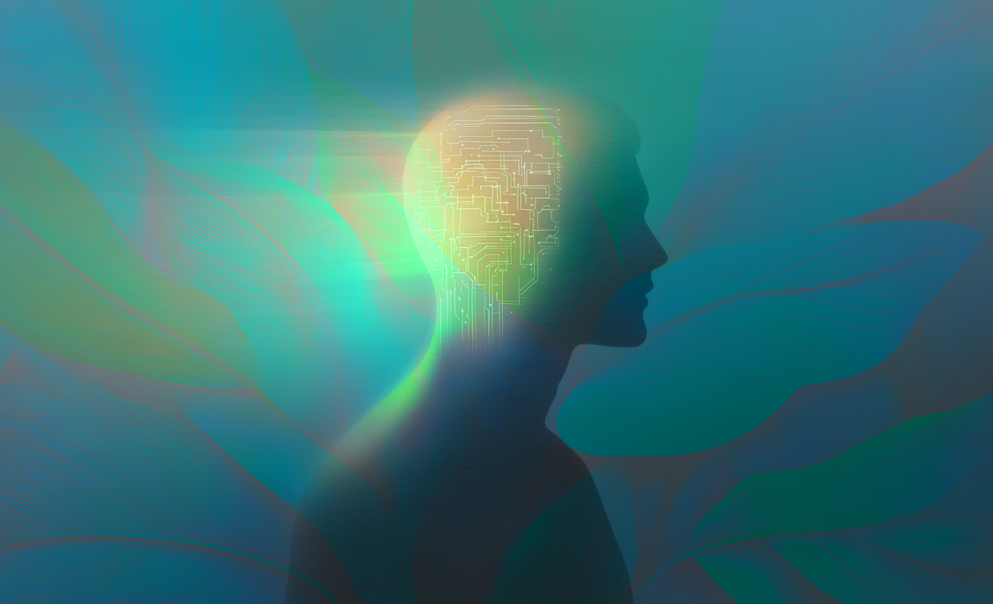 Will AI improve sustainability? Experts are divided