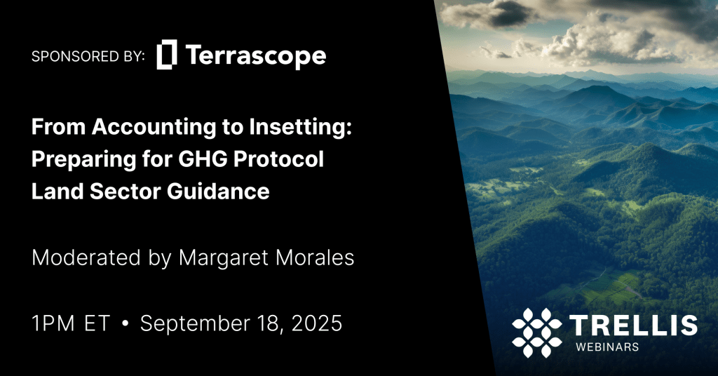 From Accounting to Insetting: Preparing for GHG Protocol Land Sector Guidance