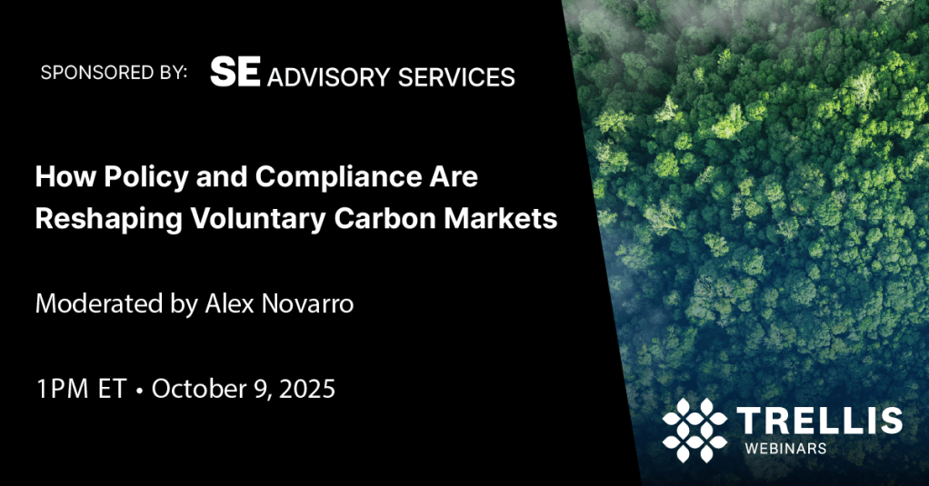 How Policy and Compliance Are Reshaping Voluntary Carbon Markets