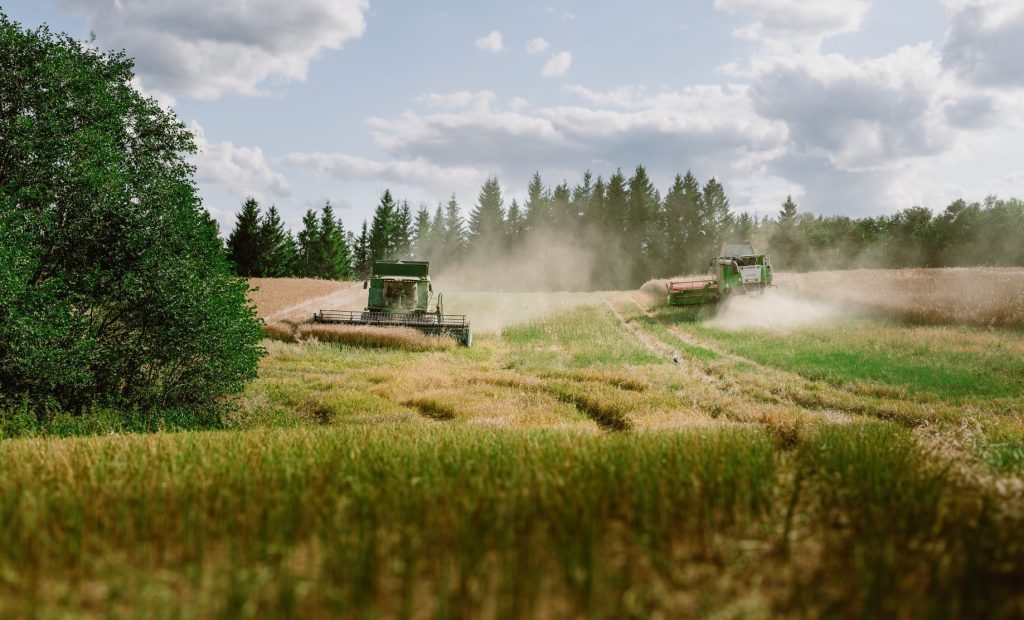 Harvesting regenerative crops in Europe.