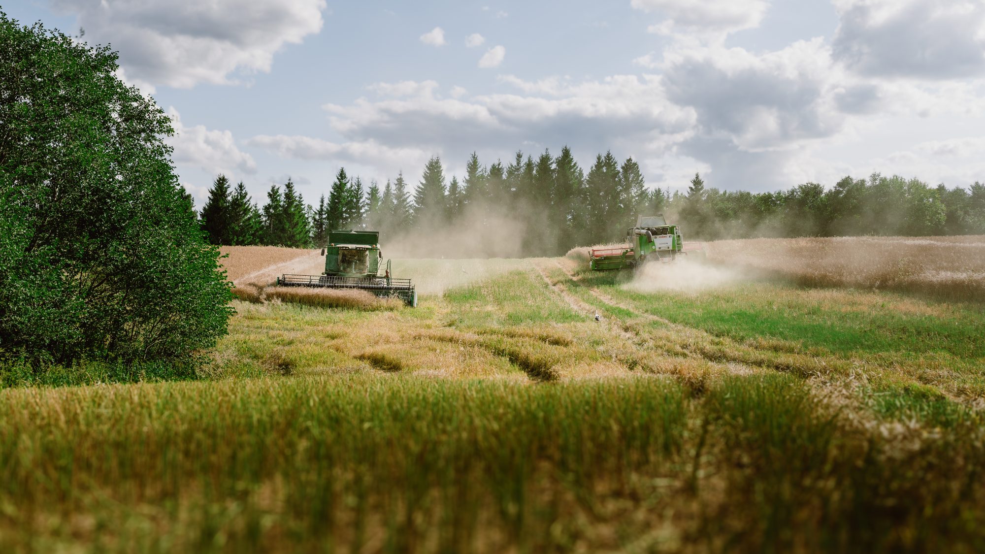 Radisson Hotels and Ryanair are among buyers for huge soil carbon credit release