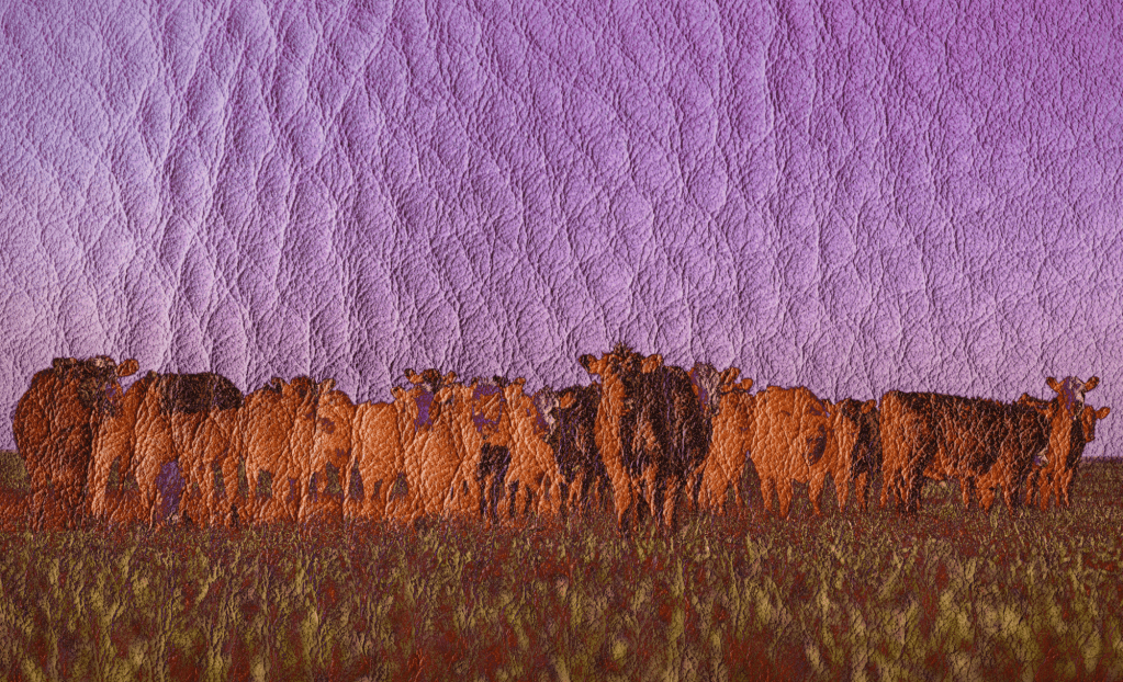 Blame leather, cashmere and wool for most methane in fashion, report says