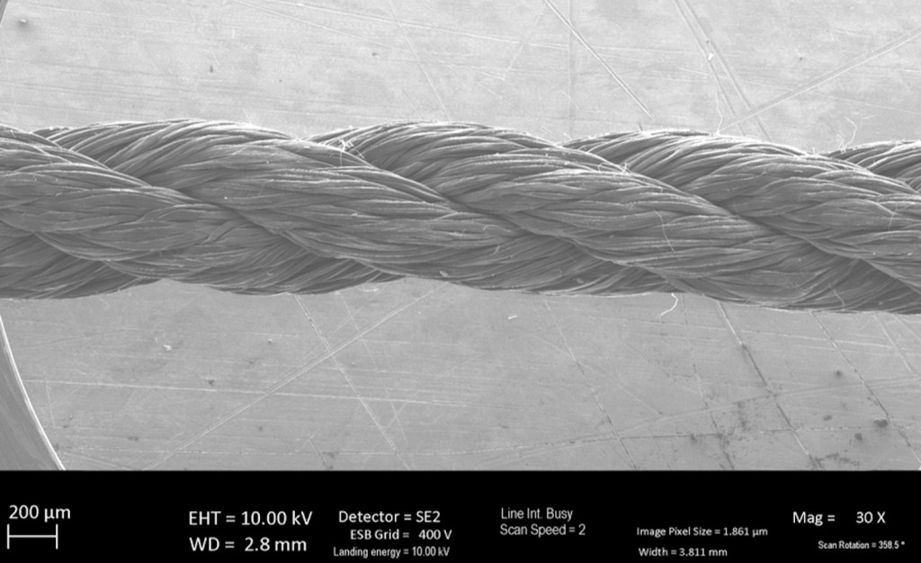 The Trellis Climate Tech Startup of 2025
