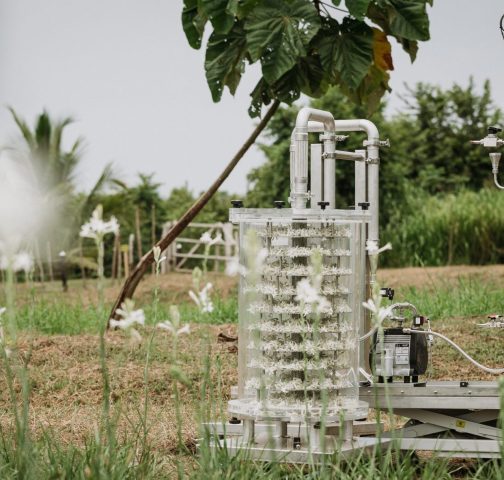How L’Oreal links environmental goals to new product innovation
