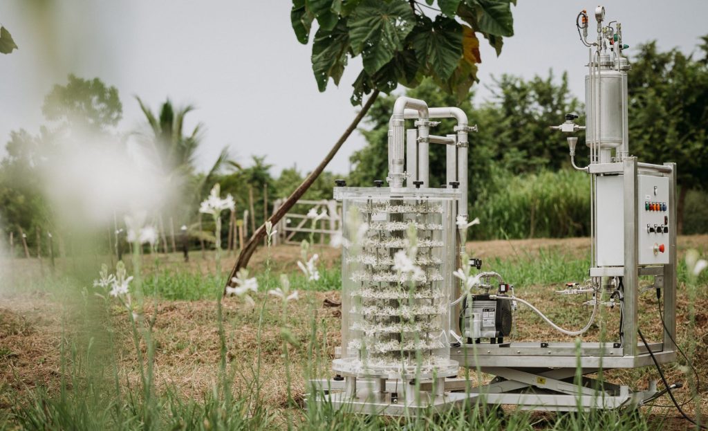 How L’Oreal links environmental goals to new product innovation