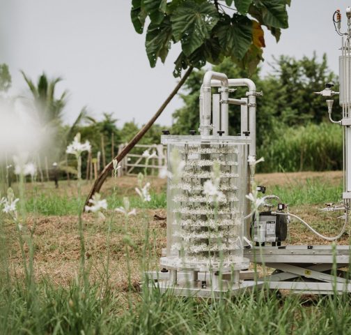 How L’Oreal links environmental goals to new product innovation